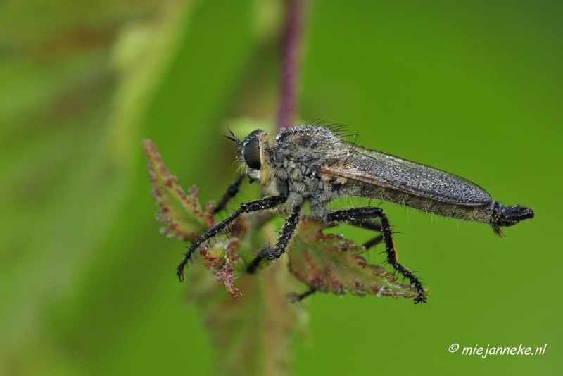 _DSC5604.JPG - Rondje Brabant