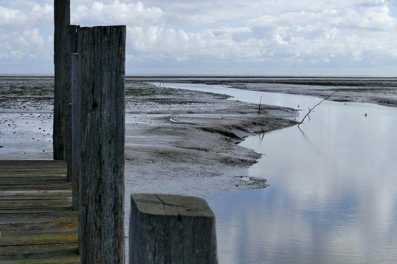 texel dag 1 2016_15.jpg - Texel dag 1