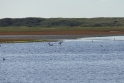 texel dag 1 2016_27