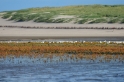 texel dag 2 2016_01