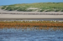 texel dag 2 2016_01