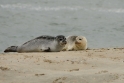 texel dag 2 2016_23