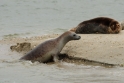 texel dag 2 2016_24