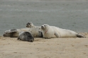 texel dag 2 2016_30