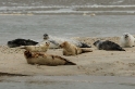 texel dag 2 2016_31