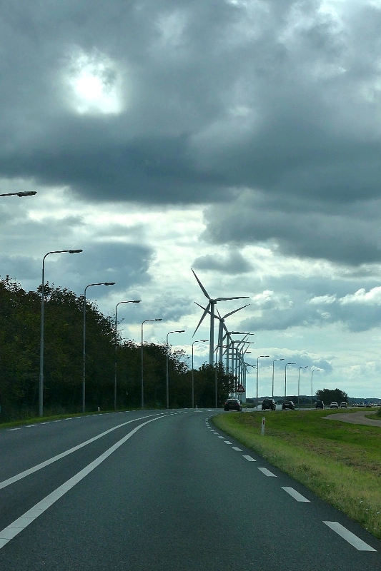 P1060449.jpg - Texel dag 3