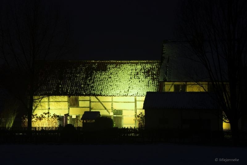 bdBokrijk by Night 07.JPG - Bokrijk by Night 2015