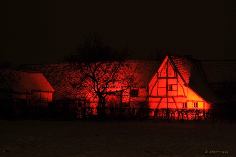 bdBokrijk by Night 12.JPG - Bokrijk by Night 2015