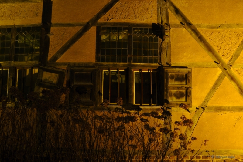 bdBokrijk by Night 14.JPG - Bokrijk by Night 2015