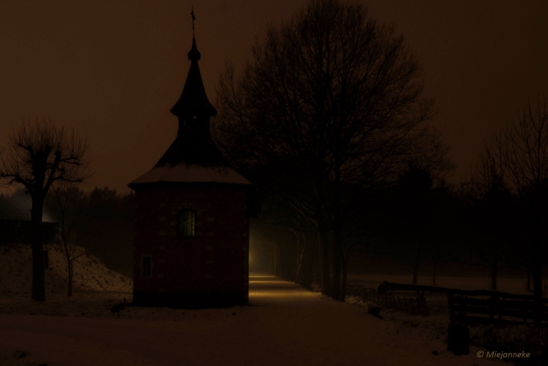 bdBokrijk by Night 17.JPG - Bokrijk by Night 2015