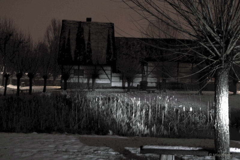 bdBokrijk by Night 18.JPG - Bokrijk by Night 2015