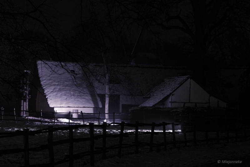 bdBokrijk by Night 21.JPG - Bokrijk by Night 2015