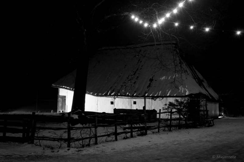 bdBokrijk by Night 23.JPG - Bokrijk by Night 2015