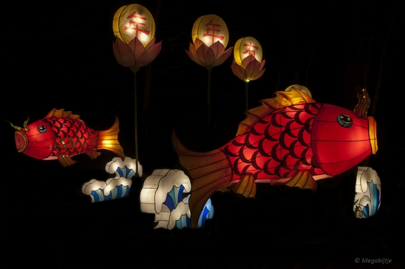 bdDSC_0612.JPG - China Light Festival in Burgers Zoo