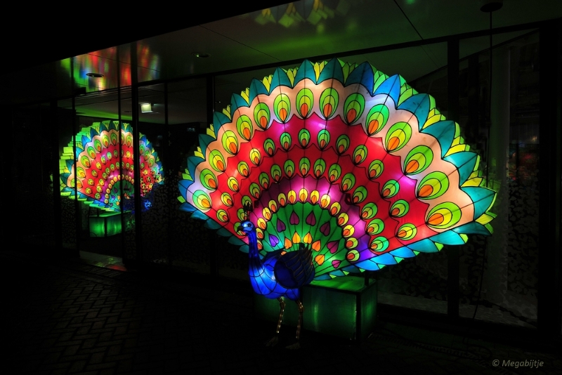 bdDSC_0702.JPG - China Light Festival in Burgers Zoo