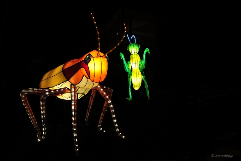 bdDSC_0854.JPG - China Light Festival in Burgers Zoo