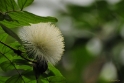 bdDSC_0182
