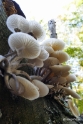 Herfst 2016 025