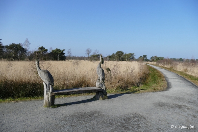 bd_P1110136.JPG - Ospel de grote Peel het elfde 2016