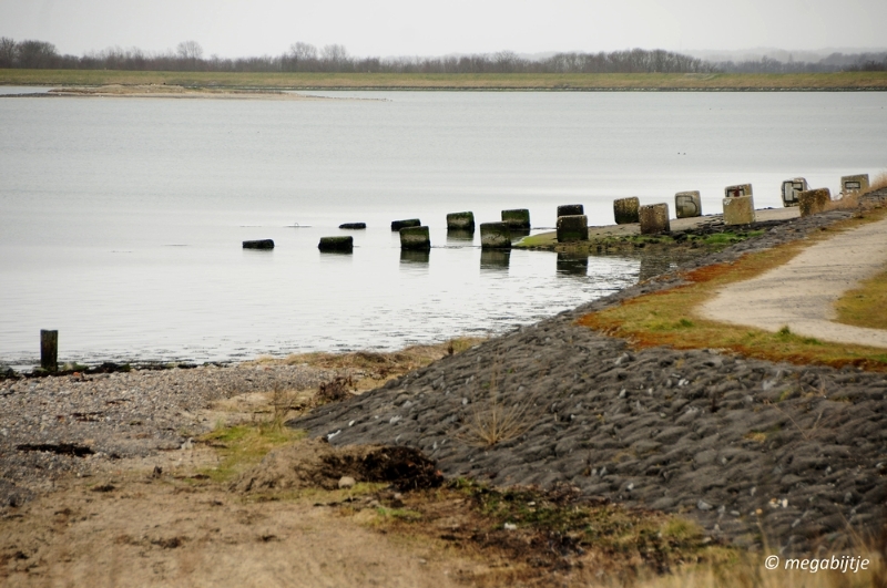 bd_DSC_0102.JPG - Wachten op de paarden