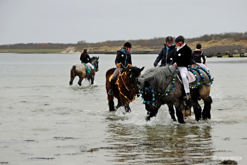 bd_DSC_0263.JPG - Strao rijden 