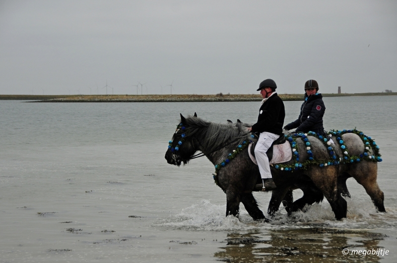 bd_DSC_0269.JPG - Strao rijden 