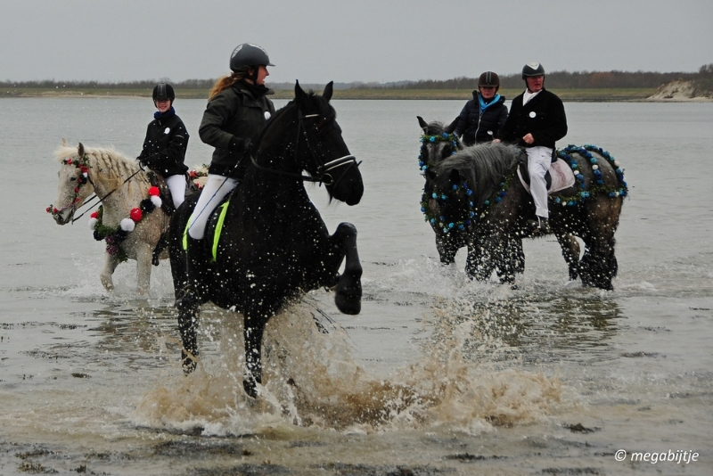 bd_DSC_0322.JPG - Strao rijden 