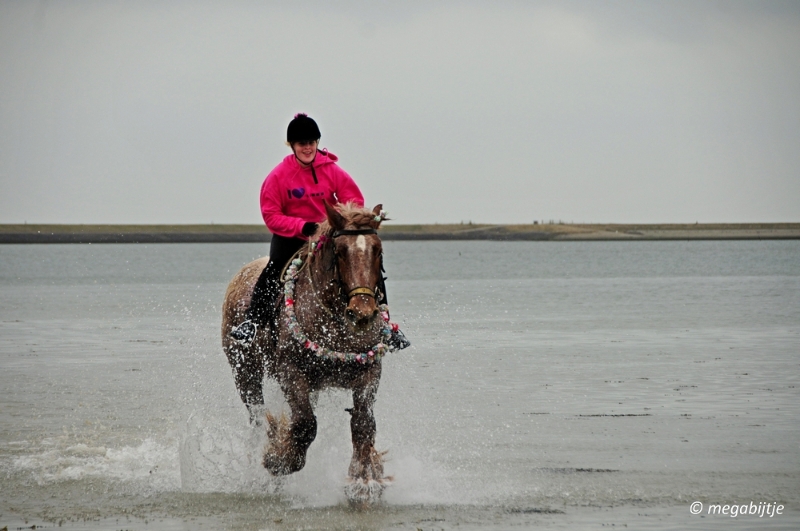 bd_DSC_0443.JPG - Strao rijden 