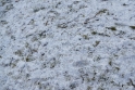 bd_P1200697