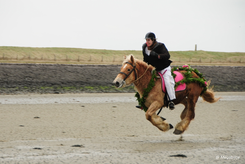 bd_DSC_8192.JPG - Strao Serookskerke 2017