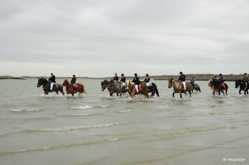 bd_DSC_8215.JPG - Strao Serookskerke 2017