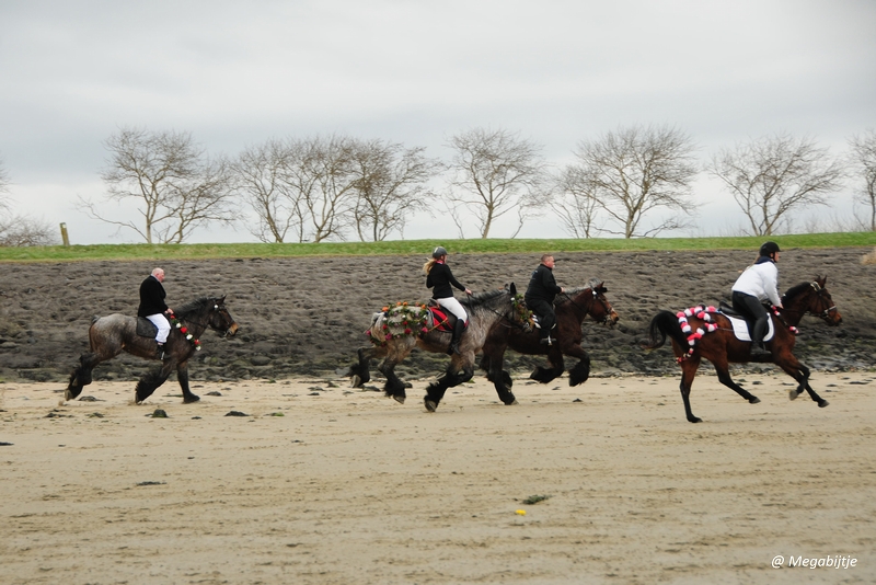 bd_DSC_8256.JPG - Strao Serookskerke 2017