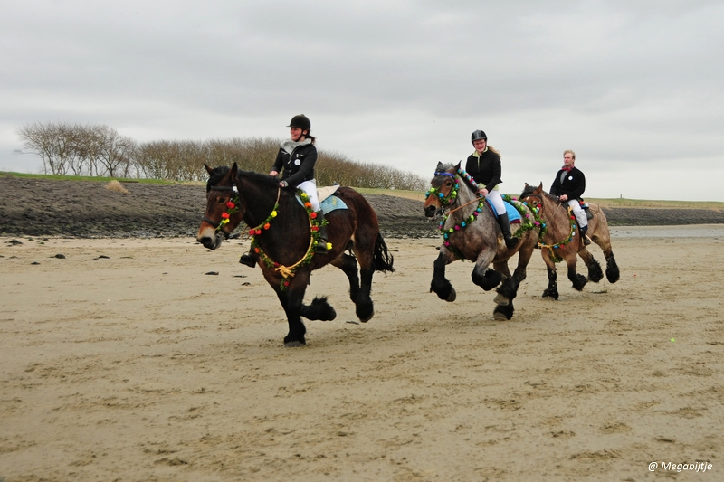 bd_DSC_8276.JPG - Strao Serookskerke 2017