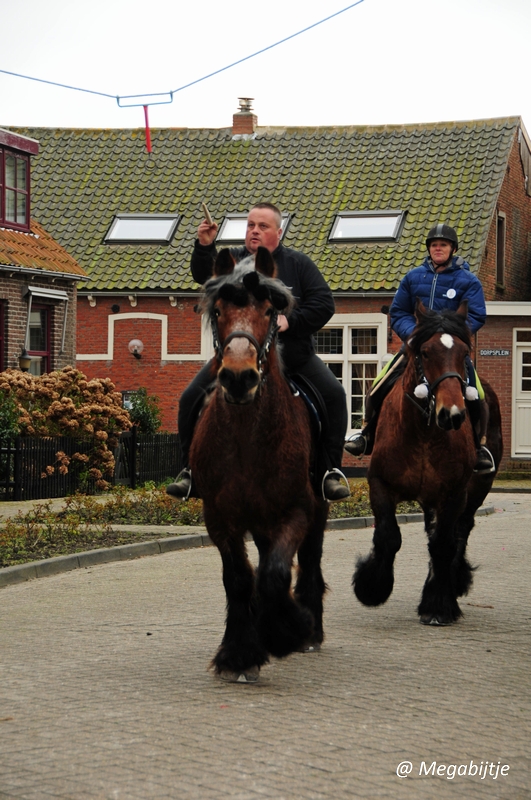 bd_DSC_8356.JPG - Strao Serookskerke 2017