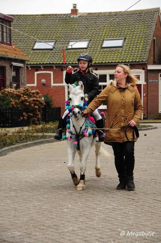 bd_DSC_8397.JPG - Strao Serookskerke 2017