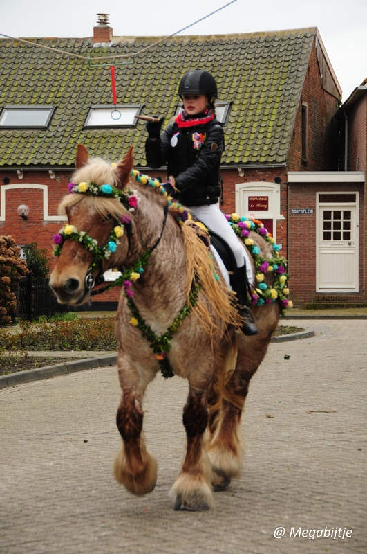 bd_DSC_8424.JPG - Strao Serookskerke 2017