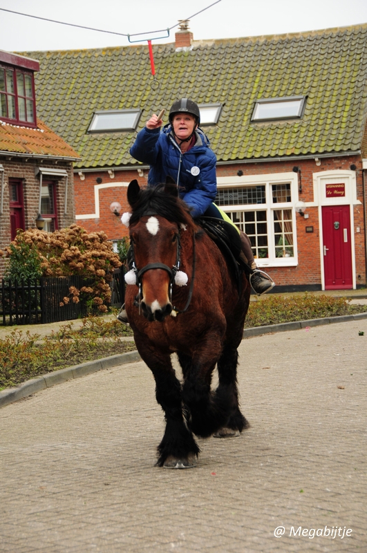 bd_DSC_8469.JPG - Strao Serookskerke 2017