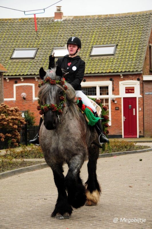 bd_DSC_8472.JPG - Strao Serookskerke 2017