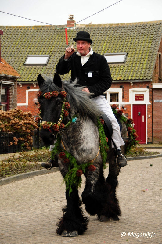 bd_DSC_8477.JPG - Strao Serookskerke 2017