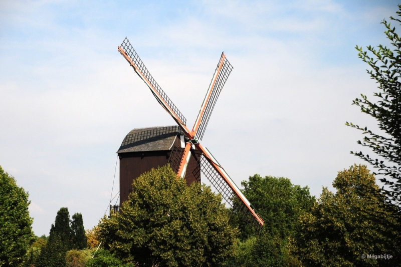 bdDSC_9345.JPG - Diest stadswandeling 2018