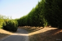 bdDSC_9344