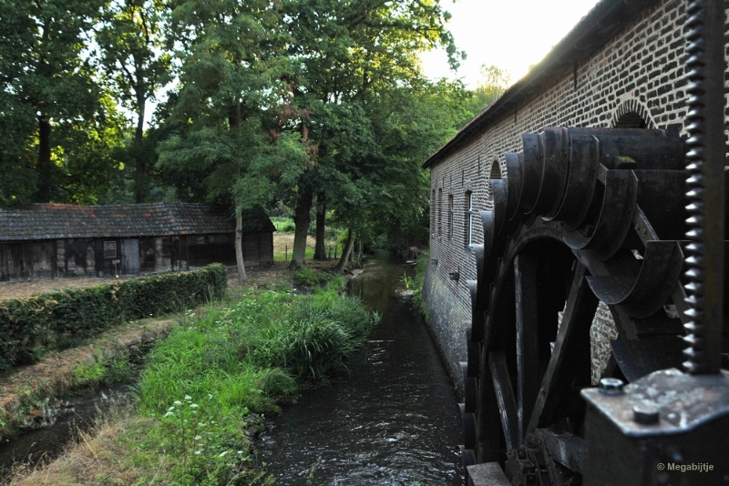 bdDSC_2569.JPG - Gitstappermolen Vlodrop