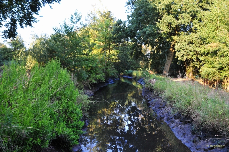 bdDSC_2585.JPG - Gitstappermolen Vlodrop