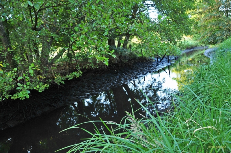 bdDSC_2592.JPG - Gitstappermolen Vlodrop