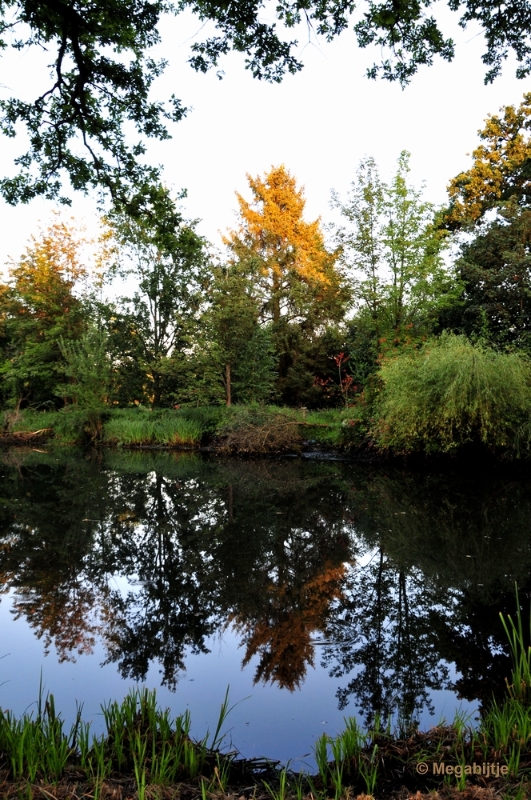 bdDSC_2633.JPG - Gitstappermolen Vlodrop