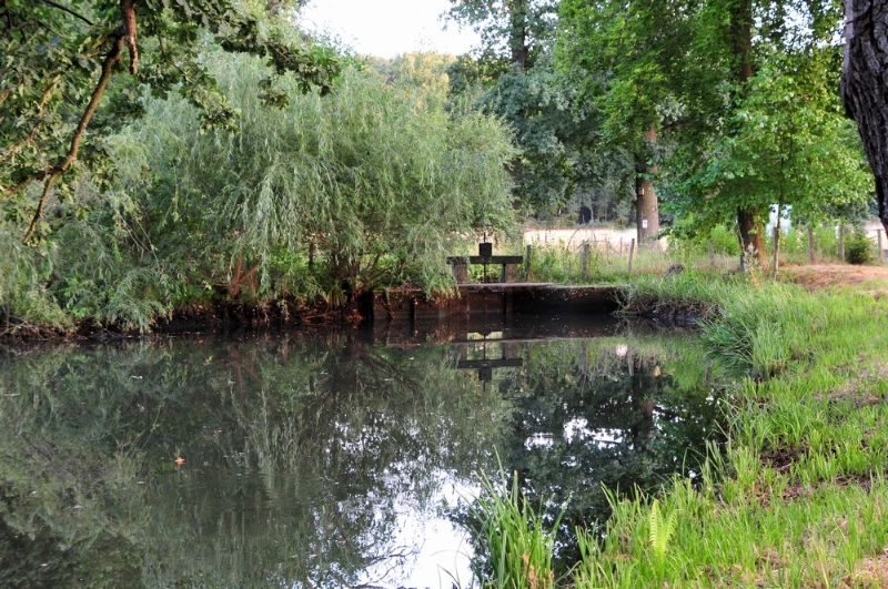 bdDSC_2643.JPG - Gitstappermolen Vlodrop