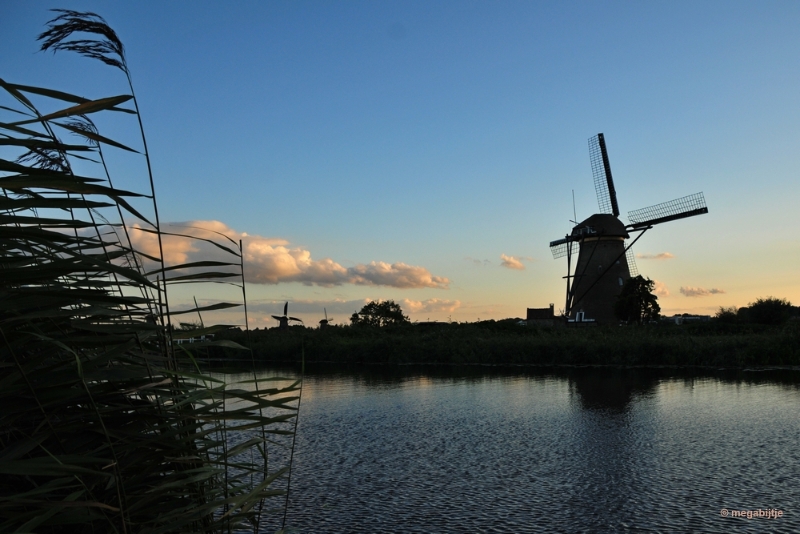 bdaDSC_3900.JPG - Kinderdijk 2018