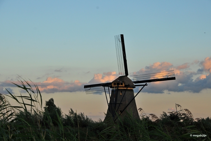 bdaDSC_3924.JPG - Kinderdijk 2018