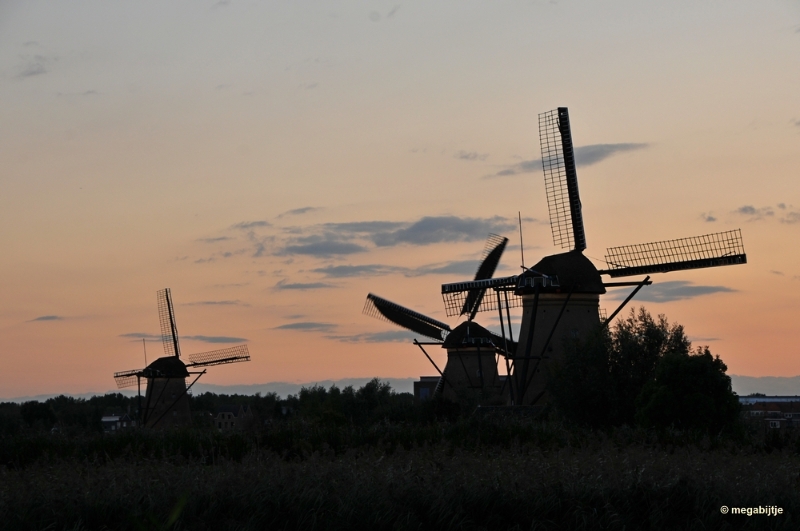 bdaDSC_3979.JPG - Kinderdijk 2018