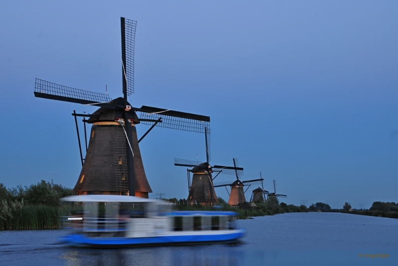 bdaDSC_3992.JPG - Kinderdijk 2018